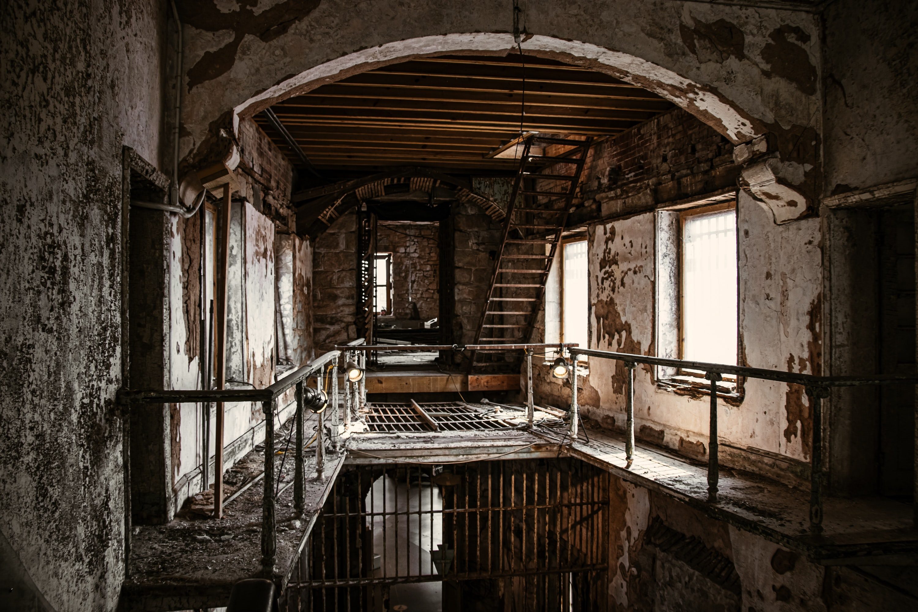mould removal services calgary