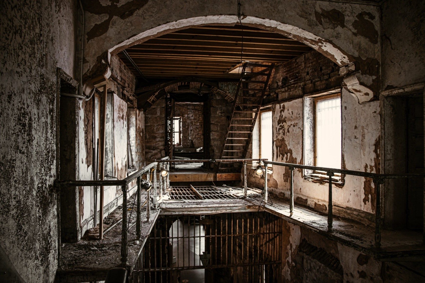 mould removal services calgary