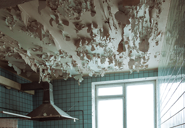 water & flood restoration calgary